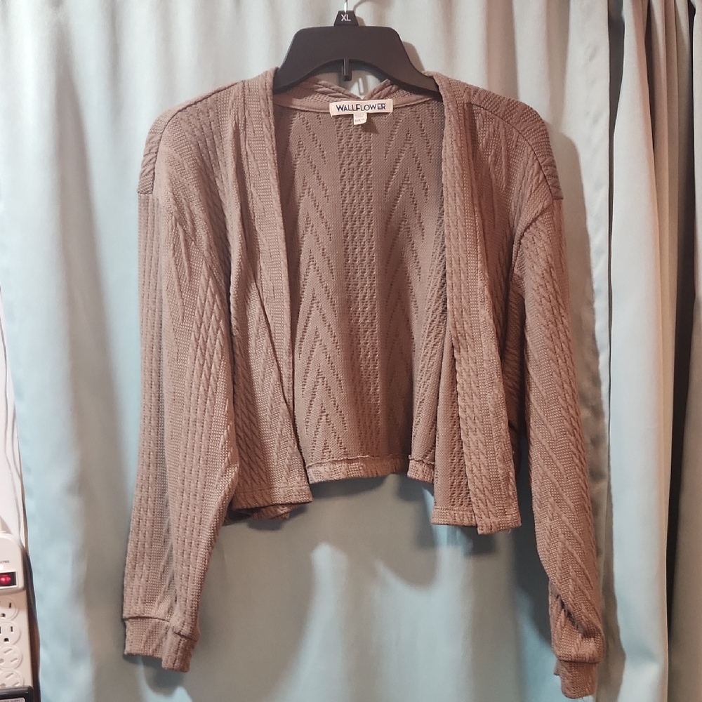 Wallflower Women's Brown Sweater